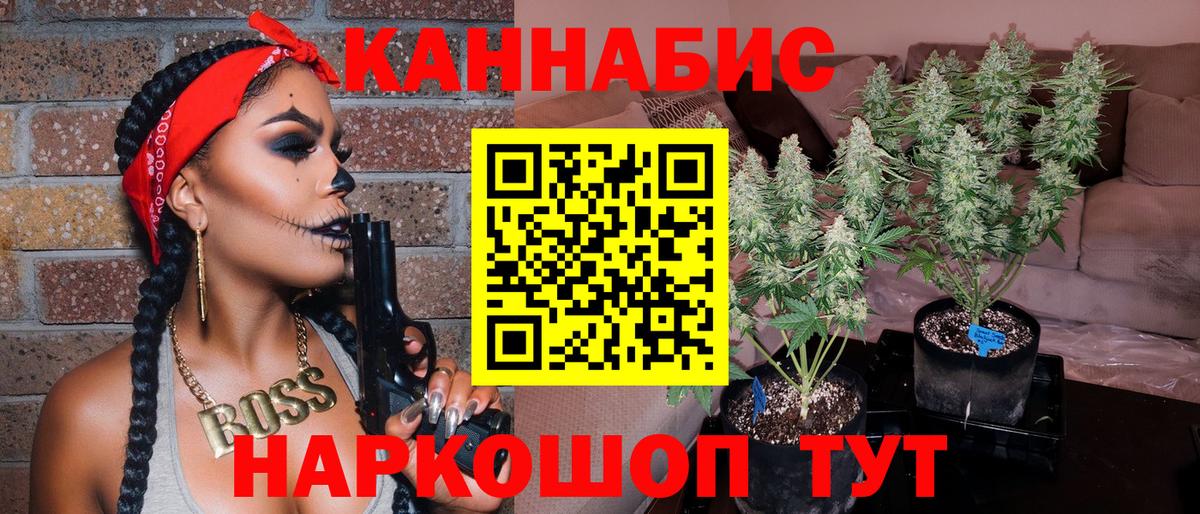 Каннабис план Туймазы